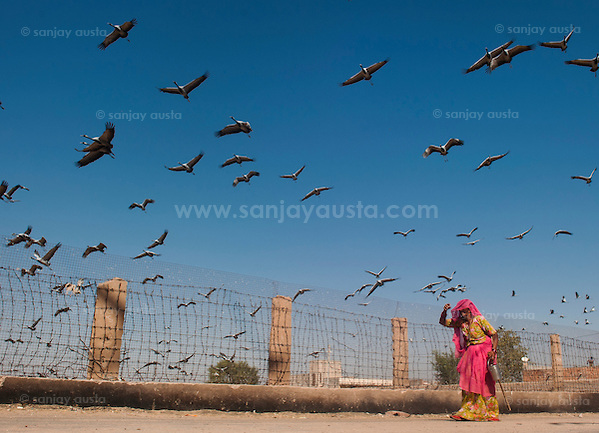  (sanjay austa sanjayausta@gmail.)