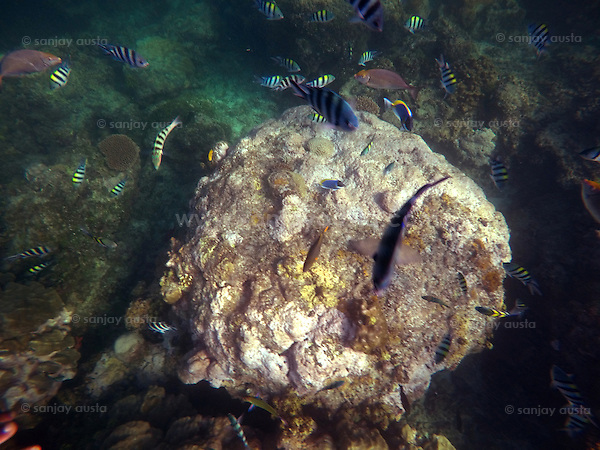 DCIM@GOPROGOPR0648. (sanjay austa austa)