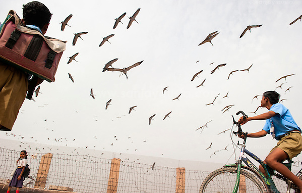  (sanjay austa sanjayausta@gmail.)