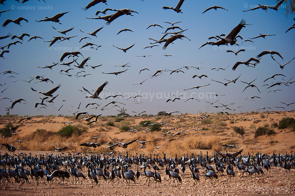  (sanjay austa sanjayausta@gmail.)