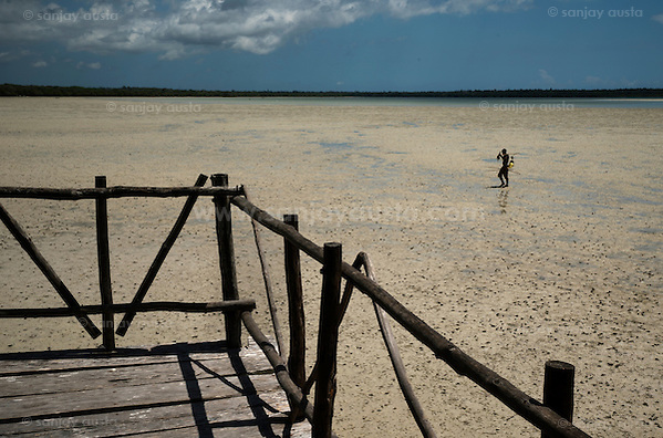  (sanjay austa austa)