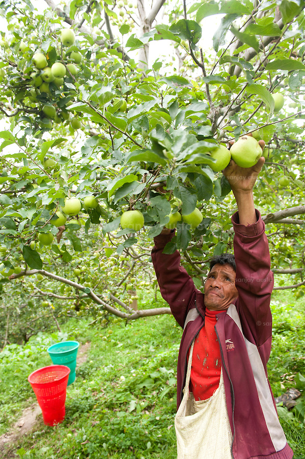  (sanjay austa      sanjayausta@gmail.)