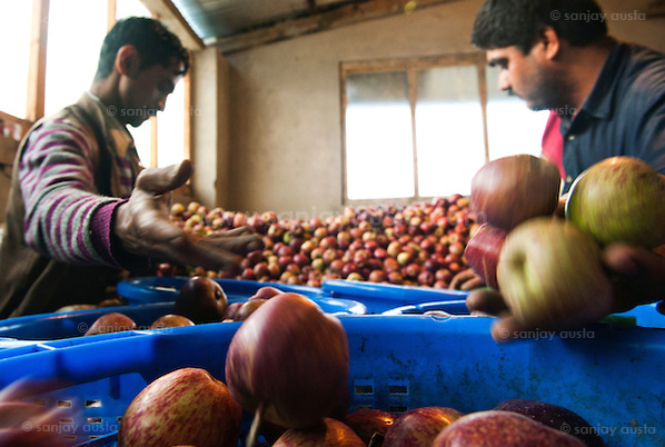  (sanjay austa      sanjayausta@gmail.)