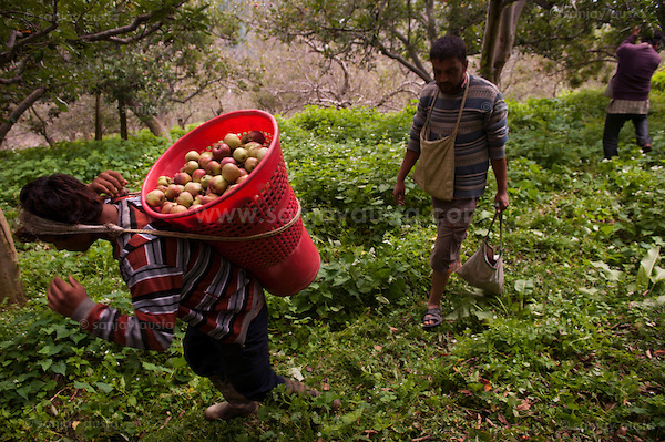  (sanjay austa sanjayausta@gmail.)