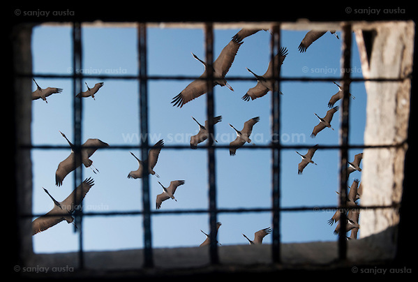  (sanjay austa sanjayausta@gmail.)