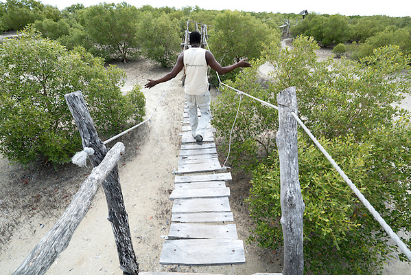  (sanjay austa austa)